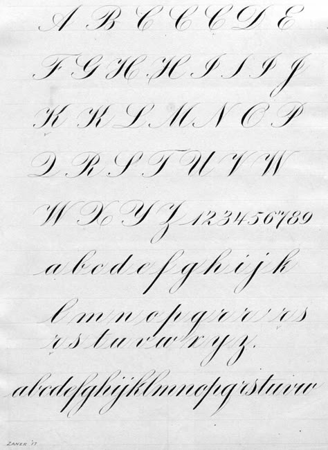 I think calligraphy now is not just a form of beautiful writing, but an art in itself. It takes time, patience, and a lot of practice to be able to learn different calligraphy styles. Spencerian … Script Alphabet, Pointed Pen Calligraphy, Calligraphy Tutorial, Copperplate Calligraphy, Alfabet Letters, Learn Calligraphy, How To Write Calligraphy, Hand Lettering Alphabet, Cursive Handwriting