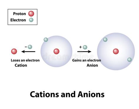 Cations And Anions Electrons Gain Lose. Cations and Anions. Some atoms lose or g #Sponsored , #ad, #ad, #Anions, #atoms, #lose, #Electrons Atom, Chemistry, Stock Vector, Vector Illustration, Lost