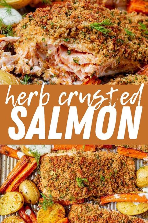 This herb crusted salmon is a favorite meal of ours when we’re looking for a delicious dinner for busy weeknights. It has a delicious parmesan herb crust on the outside and flavorful, flaky salmon on the inside. Serve it with crispy dill potatoes and carrots for a balanced meal. Salmon And Potato Recipes, Salmon With Roasted Vegetables, Herb Crusted Salmon, Roasted Potatoes And Carrots, Dill Potatoes, A Balanced Meal, Garlic Roasted Potatoes, Potatoes And Carrots, Crusted Salmon