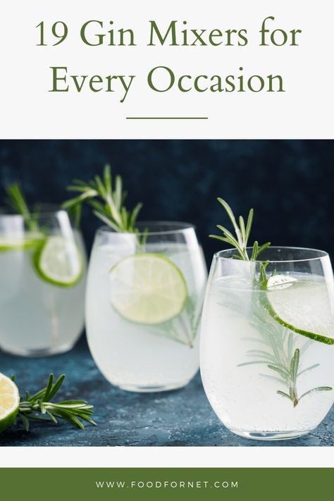 Gin Mock Tail, Gin And Soda Recipes, Gin Mixers Ideas, Gin Soda Cocktails, Best Gin Drinks, Easy Gin Cocktails Recipes, Mixed Drinks With Gin, Drinks Made With Gin, Gin Drinks Easy Classic Cocktails