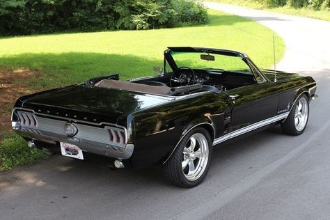 Convertible Pictures, 1967 Mustang Convertible, Convertible Mustang, Ford Mustang 1964, Black Convertible, 1967 Mustang, Mustang Cobra, Classic Mustang, Mustang Convertible