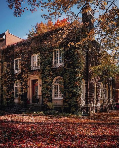 Live MTL on Instagram: “Outremont in Fall 😍🍂🍁| 📸@karlvibes #livemtl #livemontreal #mtl #montreal #montréal #514 #qc #quebec #québec #outremont #downtown #canada…” Downtown Canada, World Where There Are Octobers, L M Montgomery, Montreal Quebec, In A World, Montreal, Log In, Log, House Styles