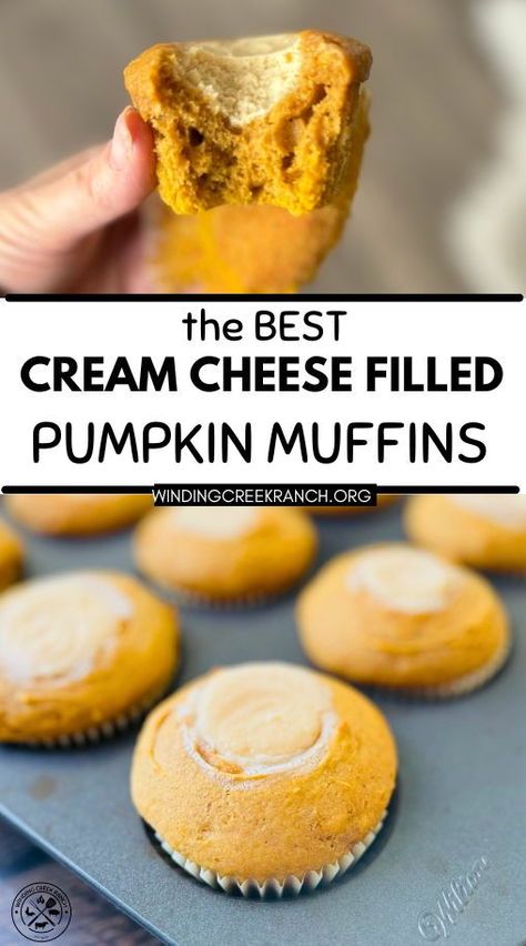 These pumpkin muffins are filled with a creamy, sweet cream cheese center and packed with warm fall spices! Easy to make and even better than the coffee shop, these moist muffins are the ultimate fall treat. Bake these for a cozy breakfast or snack! Autumn Muffin Recipes, Cream Cheese Filled Pumpkin Muffins, Pumpkin Baked Goods, Starbucks Muffins, Pumpkin Cream Cheese Muffins, Moist Muffins, Pumpkin Cream Cheese, Cozy Breakfast, Cream Cheese Muffins