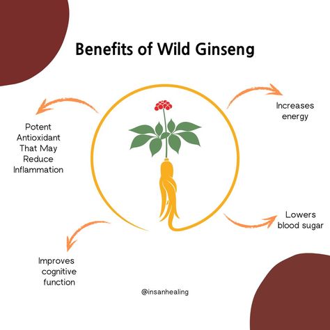 Ginseng Benefits, Siberian Ginseng, American Ginseng, Vitamin A Foods, Korean Ginseng, Anti Oxidant Foods, Ginseng Root, Panax Ginseng, Red Ginseng