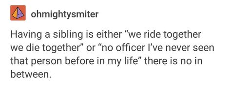 He really didn't get his relationship with Trixx Text Posts, Tumblr Posts, Tumblr Funny, In My Life, Relatable Quotes, Writing Prompts, Funny Texts, Really Funny, My Life