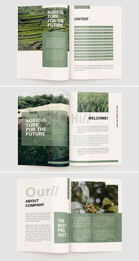 Research Booklet Design, 2023 Magazine Design, Case For Support Design, Green Brochure Design Layout, Magazine Layout Design Colorful, One Color Graphic Design, Company Booklet Design Layout, Profile Book Design, Graphic Design Report Layout