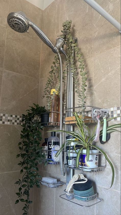 Dream Apartment Aesthetic Bathroom, Bathroom Aethestic, Warm Apartment Aesthetic Bathroom, Granola Bathroom, Plants Shower Bathroom, Bathroom Eucalyptus Decor, Aesthetic Bathroom With Plants, Apartment With Boyfriend Aesthetic, Clean Shower Aesthetic