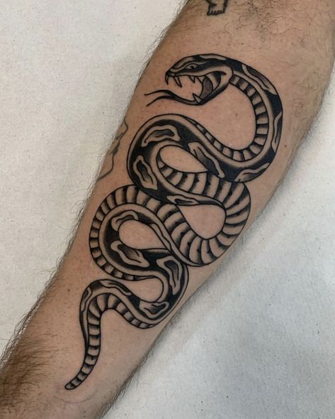 Snake And Panther Tattoo, Vintage Snake Tattoo, Trad Spider Tattoo, Snake American Traditional Tattoo, Traditional Rattlesnake Tattoo, Neo Trad Snake, Snake Shin Tattoo, Traditional Tattoos Snake, Trad Snake Tattoo