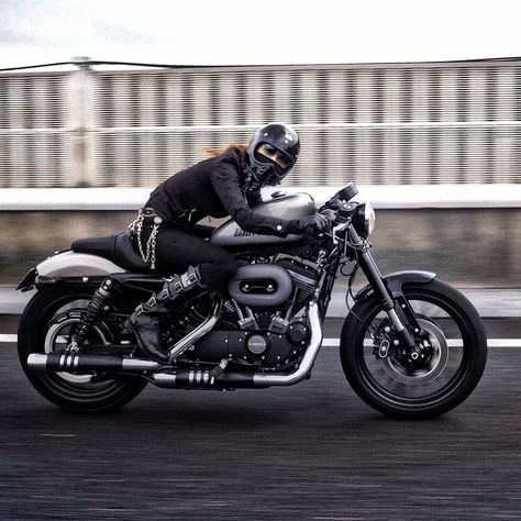 Cafe Racers of Instagram on Instagram: “@candy50s blasting through the streets of Osaka on her Harley Roadster 🔥🔥 Thanks for sharing, looking good! . Send photos to…” Harley Roadster, 1200 Sportster, Marketing Banner, Harley Davidson Roadster, Motos Vintage, Scrambler Custom, Victory Motorcycles, Racer Motorcycle, Cafe Racer Style