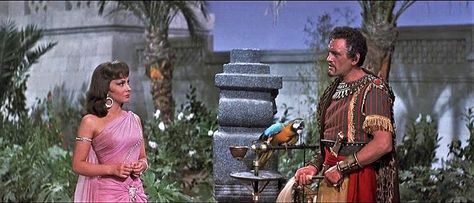 Harry Andrews and Gina Lollobrigida in Solomon and Sheba. 1959 Solomon And Sheba, Hollywood Costume, Gina Lollobrigida, Hollywood Cinema, Italian Actress, Movie Costumes, Golden Age Of Hollywood, Costume Design, Old Hollywood