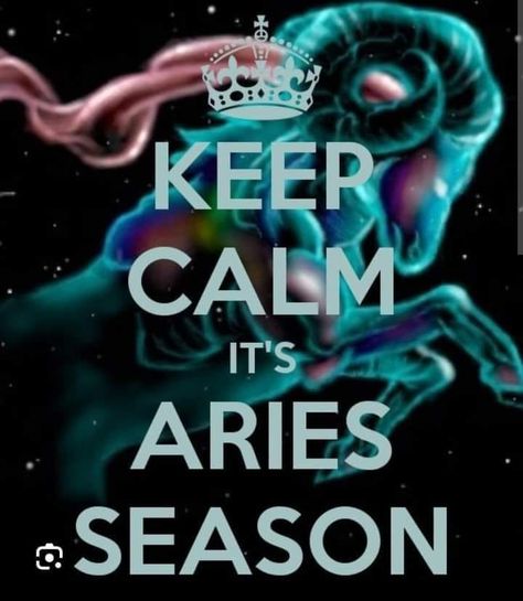 Aries Season Quotes, April Aries, Aries Women, All About Aries, Aries Baby, Aries Ram, Aries Quotes, Aries Season, Aries Birthday