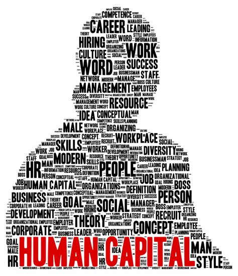 Words related to human capital are arranged to form the head-and-shoulders silhouette of a person in profile. The words include "social," "competence," "management," "work," "people," "job," "manager," "recruit," "theory," "leader," and "development." At the bottom of the silhouette, the words "Human Capital" appear in larger type of a different color so they stand out as a title for the image. Human Capital Formation Project, Human Capital Management, Human Capital Formation Images, Culture Workplace, Silhouette Of A Person, Word Cloud Art, Employee Turnover, Learning Development, Human Capital