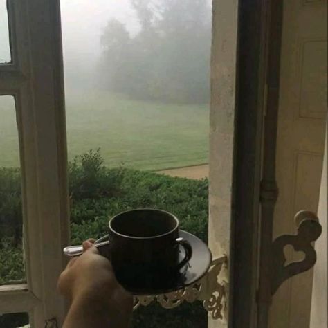 Visual Gallery, Foggy Morning, Dark Academia Aesthetic, Academia Aesthetic, Autumn Aesthetic, Rainy Days, Fall Vibes, Dark Aesthetic, Dark Academia