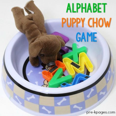 Pet Theme Math Activities Preschool, Creative Curriculum Pets Study, Letter Preschool Activities, Preschool Pets Unit, Preschool Pet Activities, Preschool Pets, Pet Study, Pet Activities, Abc Centers