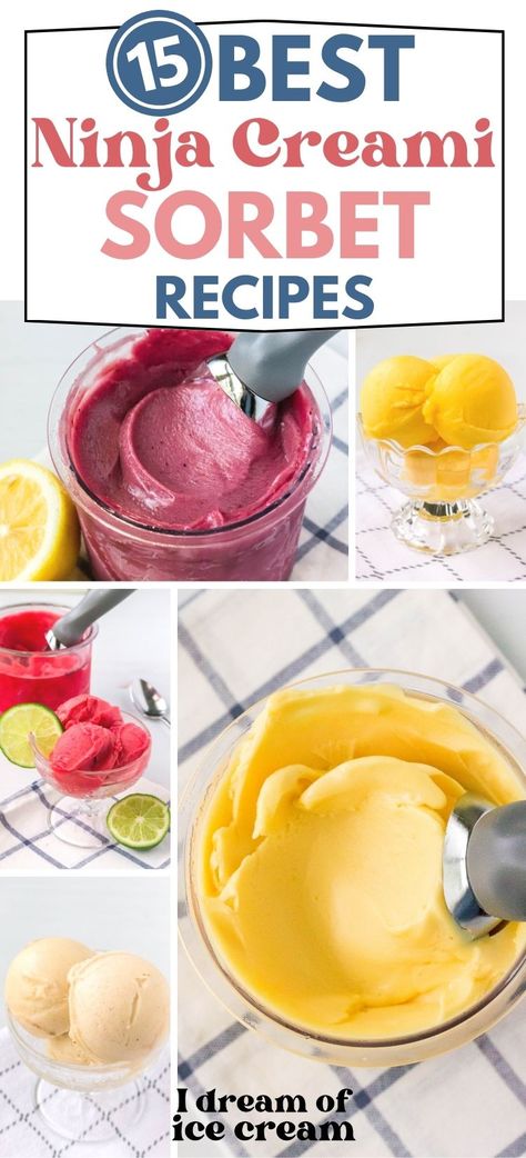 Ninja Creami Sorbet, Ice Cream Maker Recipes Healthy, Ninja Ice Cream Recipe, Sherbet Recipes, Pineapple Sorbet, Healthy Ice Cream Recipes, Fruit Sorbet, Berry Sorbet, Ice Cream Maker Recipes