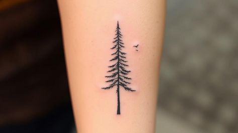 15 Pine Tree Minimal Tattoos for Evergreen Ink Lovers Pine Tree Back Tattoo, Bald Cypress Tree Tattoo, Pine Tree Spine Tattoo, Tiny Pine Tree Tattoo, Eastern White Pine Tattoo, Simple Tree Tattoos For Women, Blue Spruce Tattoo, Little Tree Tattoo, Forest Theme Tattoo