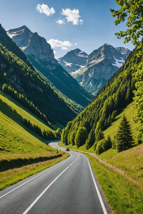 The Most Scenic Road Trips in Germany You Need to Take! Germany Forest Aesthetic, Aesthetic Location, Germany Aesthetic, Romantic Road Germany, Medieval Towns, Bavarian Alps, German Wine, Black Forest Germany, Vineyard Tour