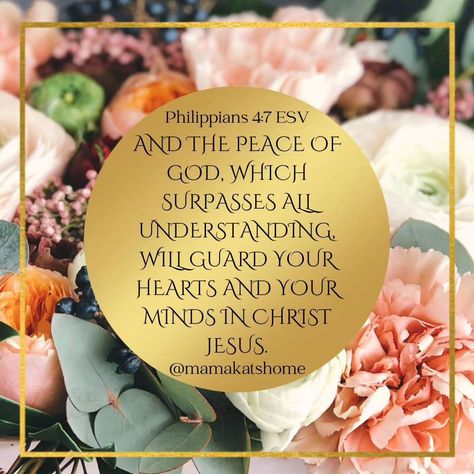 Philippians 4:7 ESV‬ And the peace of God, which surpasses all understanding, will guard your hearts and your minds in Christ Jesus. #Jesus #God #dailyscripture #dailyscripture #faith #scriptureoftheday #scripture #scriptures #JesusChrist #Jehovah #Lord #Yahweh #Yashua #bible #bibleverse #bibleverseoftheday The Peace Of God Which Surpasses, Philippians 4 7, The Peace Of God, Scripture Of The Day, Peace Of God, Guard Your Heart, Daily Scripture, Philippians 4, The Peace