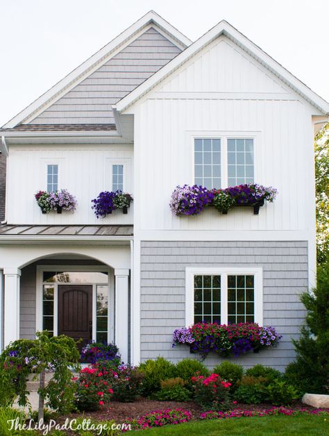 Window Box Tips - my former black thumb - The Lilypad Cottage Lilypad Cottage, Cottage Windows, Window Box Flowers, Cottage Exterior, Window Boxes, Window Box, Flower Boxes, Exterior Colors, Lily Pads