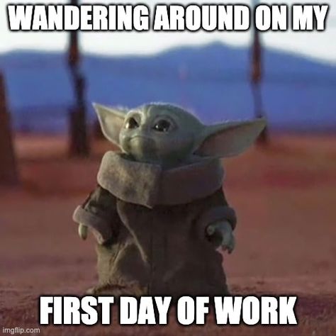 Meme | How I feel during my first day at a new job. | Source imgflip New Job Meme, Job Memes, Seaglass Art, Yoda Funny, Programmer Humor, First Day Of Work, Teacher Memes, Work Memes, Family Events