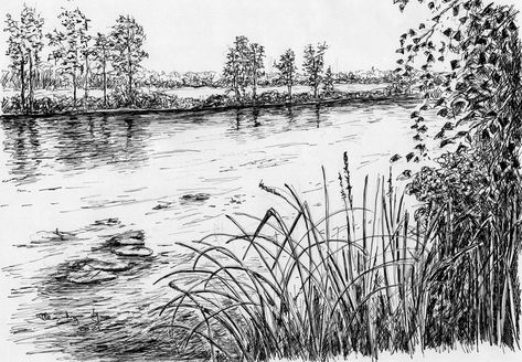 Farm Drawing Landscape, Creek Drawing, Pond Sketch, Lake Sketch, River Sketch, Pond Drawing, River Drawing, Water Sketch, Grass Drawing