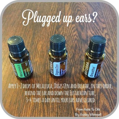 Plugged Ears, Terra Essential Oils, Poplin Pants, Doterra Oils Recipes, Do Terra, Doterra Recipes, Doterra Oil, Aromatherapy Recipes, Doterra Essential Oils Recipes