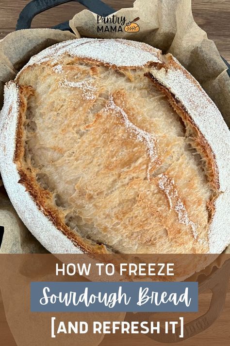 Freeze Sourdough Bread, Homemade Baked Bread, Sourdough Bread Sandwiches, Prevent Food Waste, Sourdough Sandwich, Homemade Sourdough Bread, Sourdough Starter Recipe, Sourdough Baking, Sourdough Bread Recipe