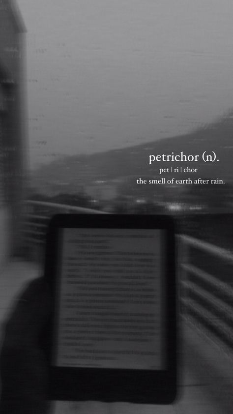 Petrichor Aesthetic, Meaning Aesthetic, Rain Words, Phobia Words, The Sound Of Rain, Rain Quotes, Unique Words Definitions, Words That Describe Feelings, Uncommon Words