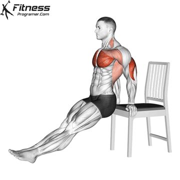 Tricep Dips At Home, Best Tricep Exercises, Triceps Dips, Triceps Exercises, Tricep Exercises, Dip Workout, Free Workout Plans, Biceps Brachii, Tricep Dips