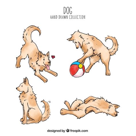 Canine Drawing, Cute Small Dogs, Dog Playing, Photo Website, Dog Tattoo, Dog Illustration, Photo Search, Dog Tattoos, Dog Drawing