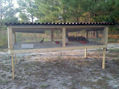 silkie cages | Me, wife, 2 kids, 2 step kids, English Cocker, Chukars, Quail and ... Pheasant Farm, Quail Pen, Big Bird Cage, Quail Coop, Chicken Brooder, Raising Quail, Chicken Shed, Chicken Pen, Chicken Cages