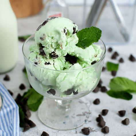 Mint Chocolate Chip Ice Cream Recipe, Best Homemade Ice Cream, Mint Chocolate Ice Cream, Tasty Ice Cream, Homemade Hot Fudge, Mint Chip Ice Cream, Mint Chocolate Chip Ice Cream, Mint Ice Cream, Mint Chocolate Chip