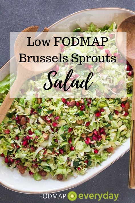 Low FODMAP Brussels Sprouts Salad Salad Nachos, Brussels Sprouts Salad, Low Fodmap Diet Recipes, Fodmap Diet Recipes, Ibs Recipes, Shredded Brussel Sprouts, Sprouts Salad, Brussel Sprout Salad, Low Fodmap Diet