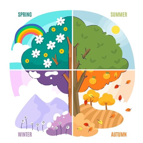 The 4 Seasons Art, Four Season Illustration, 4 Seasons Illustration, 4 Seasons Activities, Four Seasons Drawing, 4 Seasons Art, 4 Season Tree, Seasons Illustration, Four Season Tree