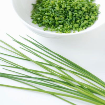 ChivesDelish Growing Chives, Herb Guide, Allium Schoenoprasum, Container Herb Garden, Types Of Herbs, Herb Pots, Growing Fruit, Garden Pests, Growing Herbs