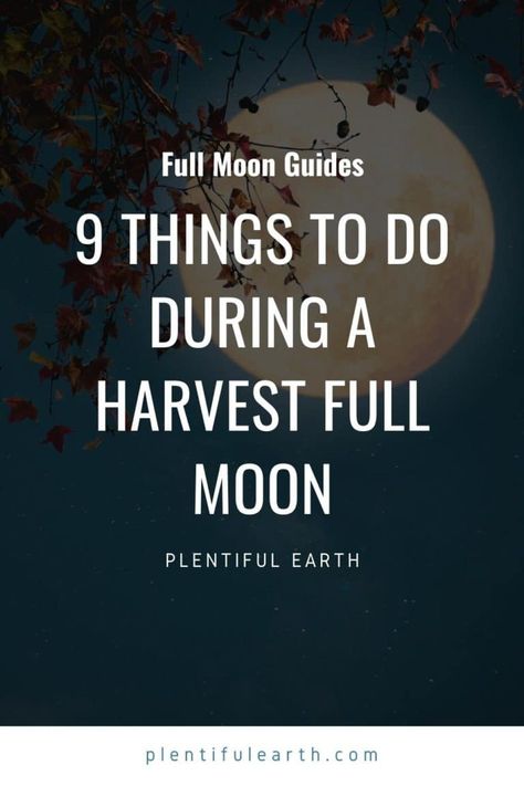 Full Harvest Moon: 9 Things To Do During This Full Moon Harvest Moon Manifestation, Harvest Moon Affirmations, Full Moon Things To Do, Harvest Full Moon 2023, Harvest Moon Party Ideas, New Moon To Do List, Full Harvest Moon Spells, Harvest Moon Ritual Wicca, Corn Moon Ritual