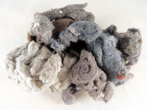 8 Surprising Uses for Dryer Lint Laundry Dryer, Dryer Balls, Gardening Techniques, Garden Junk, Healthy Garden, Dry Leaf, Fire Starters, Free Plants, Diy Cleaners