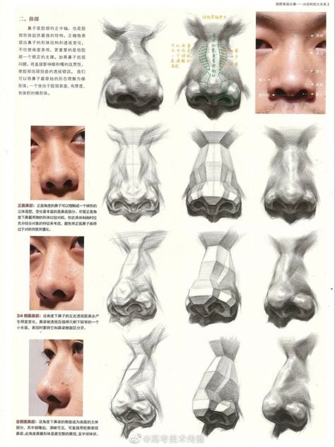 Nose Anatomy Reference, Hatching Faces, Human Face Anatomy Drawing, Planes Of The Nose, Human Nose Drawing, Anatomy Head Drawing, Nose Anatomy Drawing, Head Base Sketch, Nose Perspective