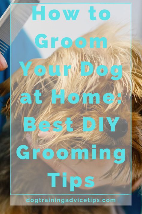 There are numerous dog grooming procedures that you may safely do in the privacy of your own home. Here are some of the best DIY grooming tips! #dogtrainingadvicetips #dogcare #doghealth #dogtips #dogs Dog Grooming At Home Diy, How To Groom Your Dog At Home, Dog Grooming For Beginners, Dog Grooming At Home, Dog Grooming Diy, Grooming Hacks, Dog At Home, Nail Trimming, Dog Grooming Salons