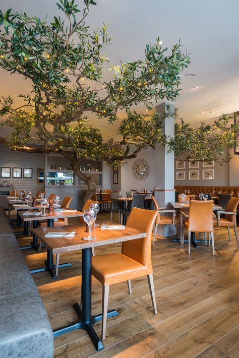 Italian Restaurant Interior, Resturant Design, Modern Restaurant Design, Tree Restaurant, Coffee Shops Interior, Restaurant Concept, Modern Restaurant, Restaurant Chairs, Cafe Interior Design