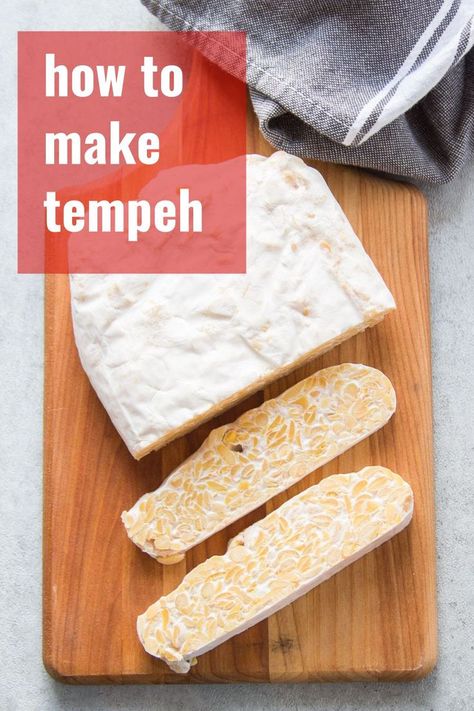 Everything you ever wanted to know about tempeh but were afraid to ask! Today we’re covering the basics: what is tempeh, how to cook it, where to buy it, and even how to make it. #veganfood #tempeh #guides #diy #howto What Is Tempeh, How To Make Tempeh, Tempeh Recipes, Gluten Free Egg Free, Science Activity, Diy Pantry, Best Vegan Recipes, Indulgent Desserts, Tofu Recipes