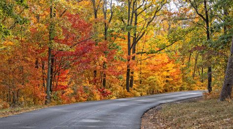 Alabama Road Trip Ideas: 11 Best Road Trips + Itinerary Alabama Road Trip, Things To Do In Alabama, Fort Payne Alabama, Bucket List Travel Destinations, Best Road Trips, Scenic Road Trip, Magical Adventure, Scenic Roads, Pumpkin Patches