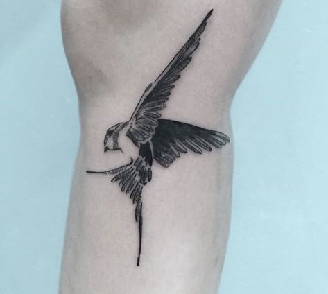 #boulderinn Bird Knee Tattoo, Colorado Tattoos, Hawk Tattoos, Finch Tattoo, Swallow Bird Tattoo, Swallow Bird Tattoos, Colorado Tattoo, Hawk Tattoo, Greek Mythology Tattoos