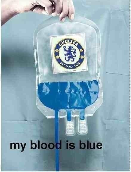 Chelsea Fc Team, Funny Soccer Pictures, Chelsea Football Club Wallpapers, Chelsea Football Team, Chelsea Fc Wallpaper, Chelsea Fc Players, Chelsea Wallpapers, Bayer Munich, Chelsea Team