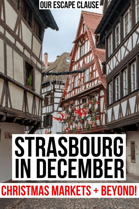 Strasbourg France Christmas, Strasbourg Christmas, France Itinerary, Christmas In Europe, Best Christmas Markets, Christmas Markets Europe, France Travel Guide, Strasbourg France, One Day Trip