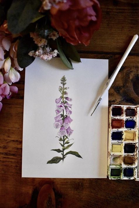 Foxglove Tattoo, Water Painting Ideas, Book Art Ideas, Colorful Landscape Paintings, Doodle Art Flowers, Watercolour Cards, Isle Of Arran, Flower Line Drawings, Plant Book