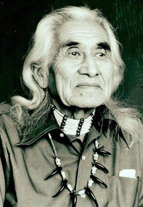 Canadian Indigenous, Chief Dan George, Native American Actors, Coast Salish, Native American Chief, Wilde Westen, Native American Photos, Native American Heritage, Character Actor