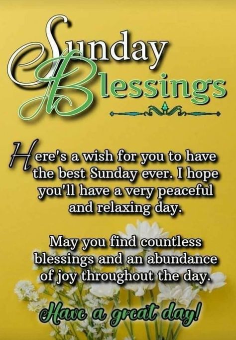 Sunday Quotes Good Morning, Morning Quotes Sunday, Good Morning Sunday Quotes, Sunday Morning Wishes, Blessed Sunday Quotes, Blessed Sunday Morning, Afternoon Greetings, Ladybug Quotes, Quotes Sunday