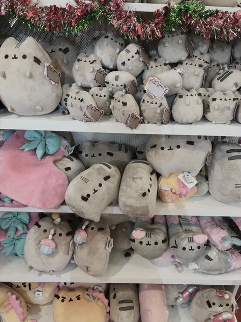 #pusheen Pusheen Room, Pusheen Aesthetic, Pusheen Plushies, Pusheen Hoodie, Pusheen Collection, Pusheen Plush, Swag Pics, Doll Plushies, Pusheen Cat