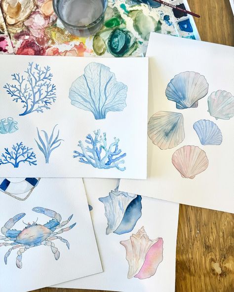 Currently on the desk. I’m trying to wrap up a big coastal themed project this week for a licensing opportunity 🌊🐚☀️ loving all these soft blues and creams! . . . #watercolorillustration #coastaldecor #coastalliving #seashells #beachart #winsorandnewton #blickartmaterials #watercolors #beachdecor #dailydoseofpaper #makersmovement #etsyfinds #ladies #licensingart #ladiesofillustration Paintings Ideas Watercolor, Beachy Paintings, Watercolor Seashells, Watercolour Drawings, Coastal Watercolor, Tropical Watercolor, Watercolor Beginner, Art Watercolour, Visual Journal